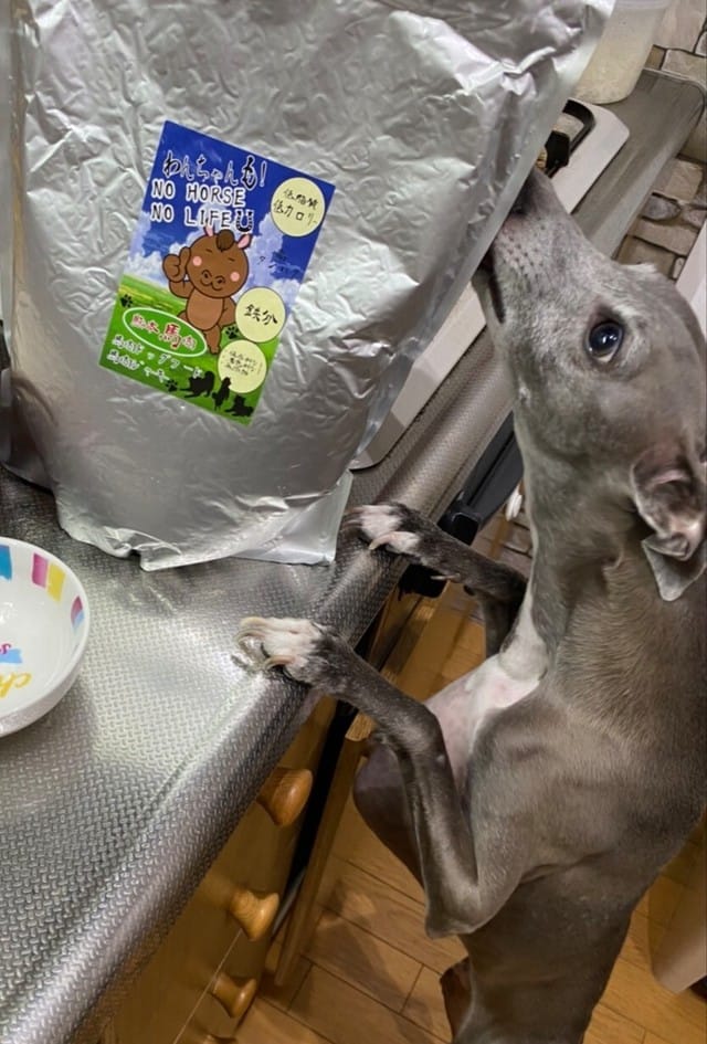 １キロサイズ　中型・大型犬専用　馬肉赤身ミンチ（粗挽き）